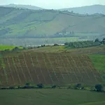 Marrucheti 82 Bauernhof *