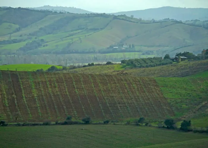 Marrucheti 82 Farma *