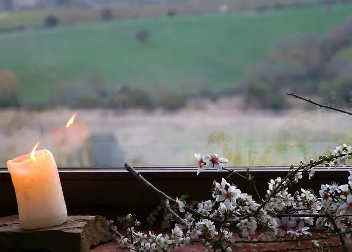 Farma Marrucheti 82 *