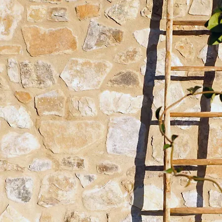 Marrucheti 82 Campagnatico