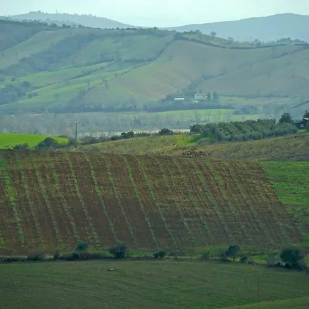 Marrucheti 82 Lantgård *