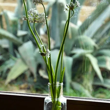 Marrucheti 82 Campagnatico