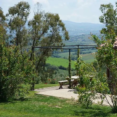 Lantgård Marrucheti 82 *