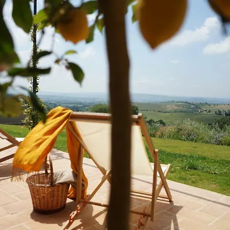 Marrucheti 82 Campagnatico